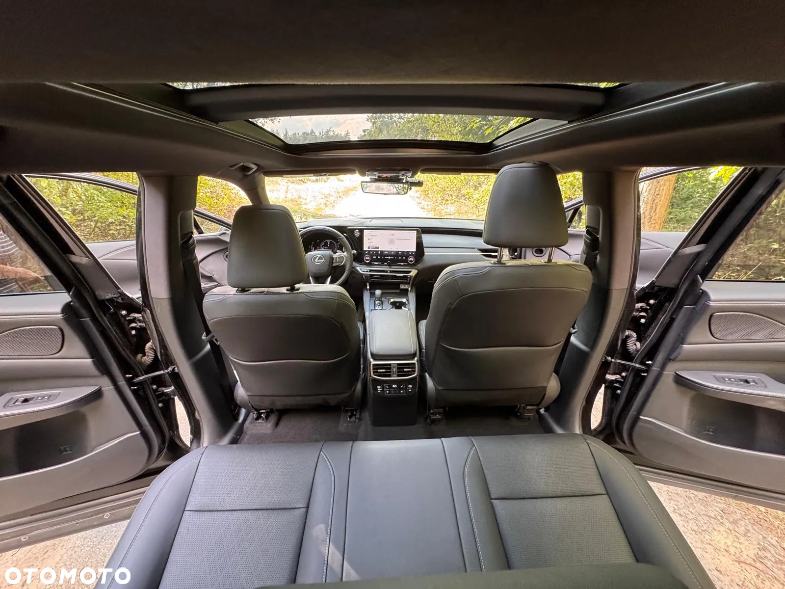 Lexus RX 350h (hybrid) Business - 27