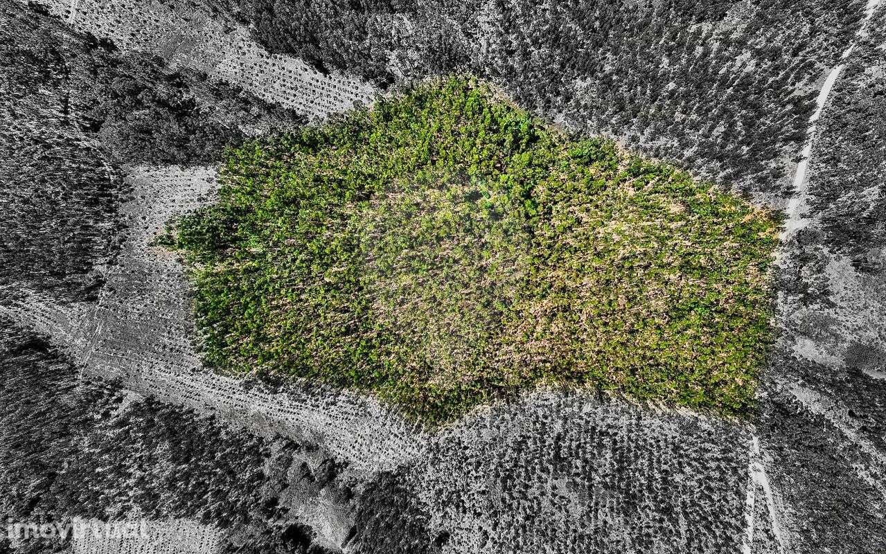 Terreno  para venda - Grande imagem: 5/9