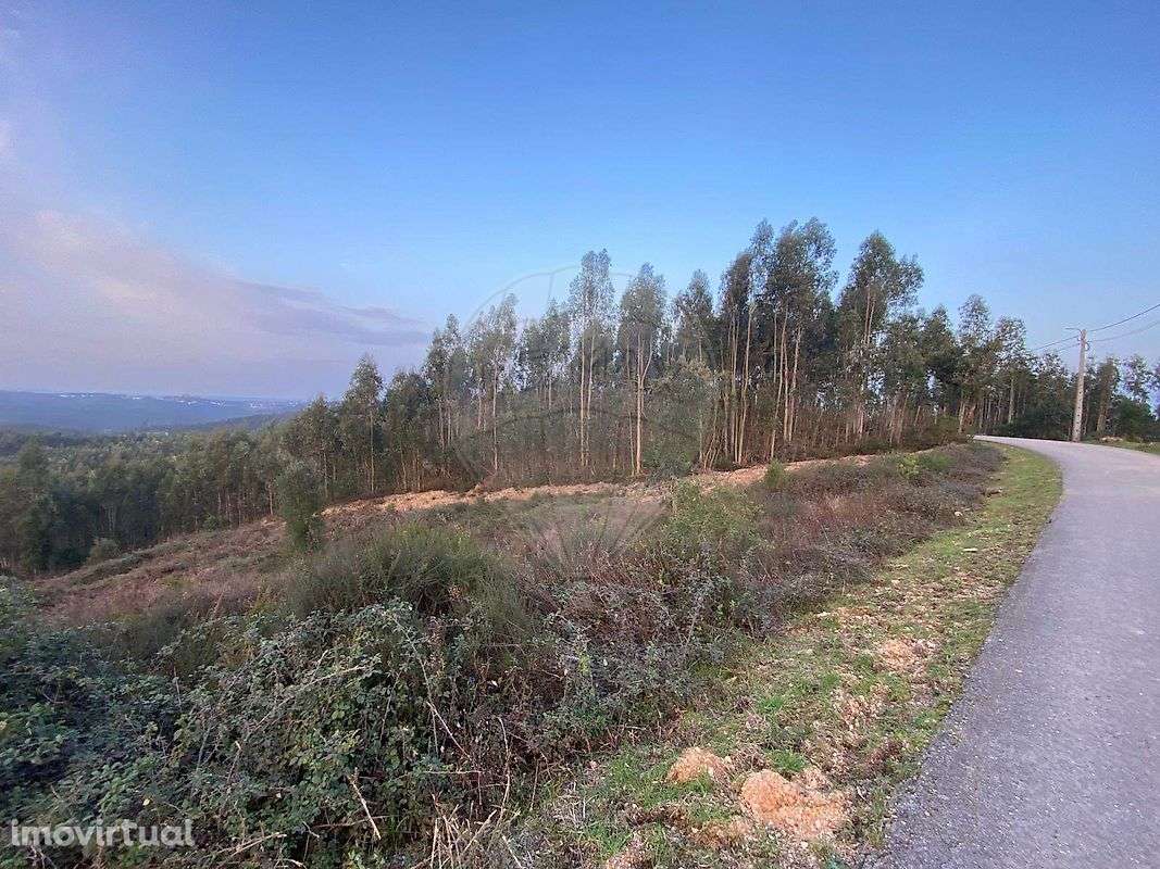 Terreno  para venda - Grande imagem: 4/6