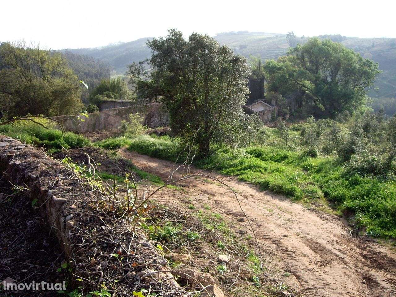 Quinta do Conventinho - Óbidos - Grande imagem: 4/13