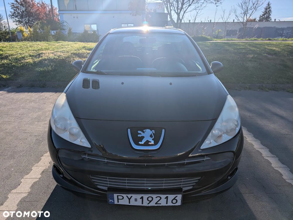 Peugeot 206 - 8