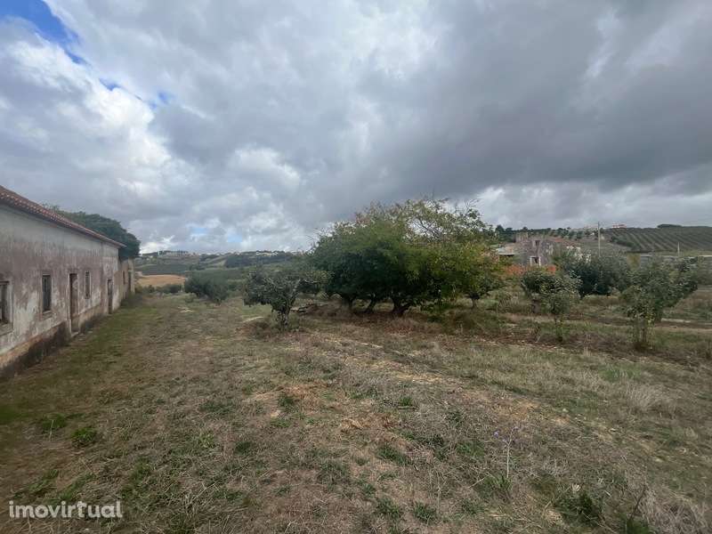 Quintinha com Moradia e Pomar em Carvalhal, Bombarral - Grande imagem: 5/25