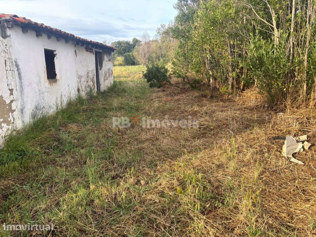 Moradia T2+1 em Vila Nova da Barquinha - Grande imagem: 3/21