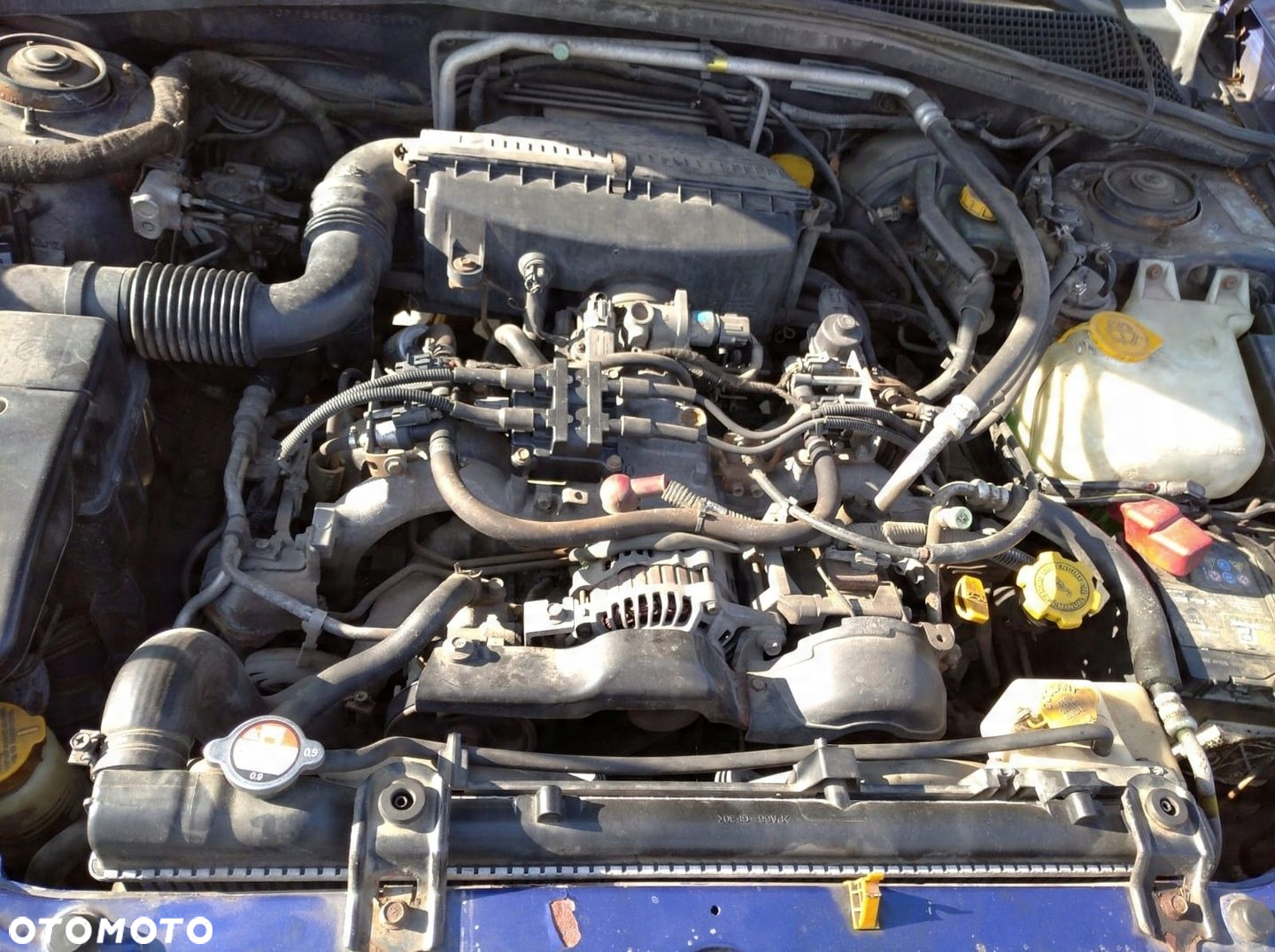 SUBARU FORESTER 2 II SG 02-06 DRZWI LEWE PRZÓD PRZEDNIE GRANATOWE 2C3 - 11