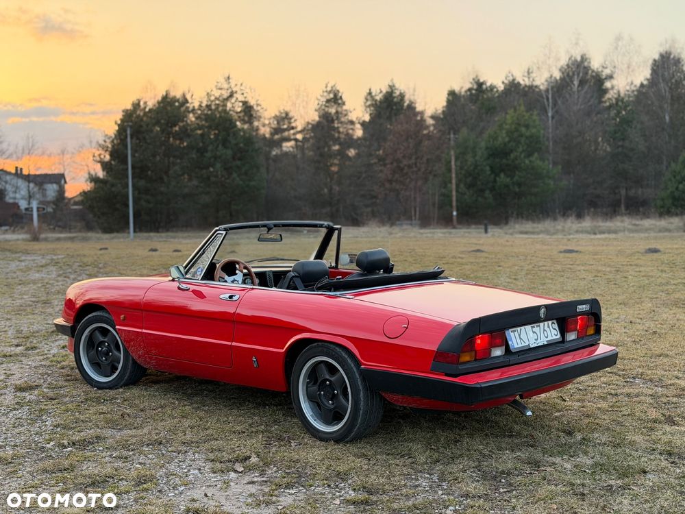 Alfa Romeo Spider - 6