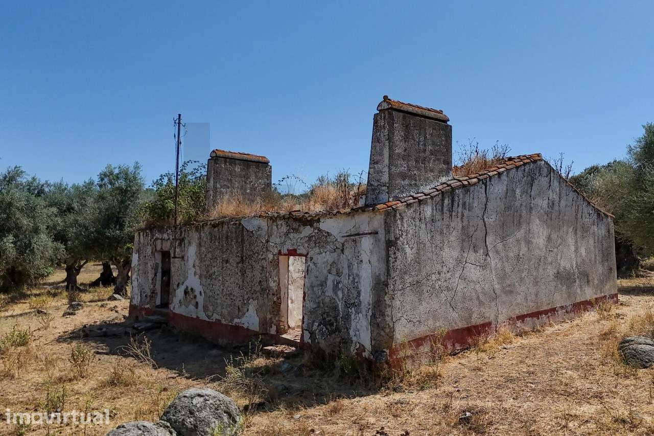 Terreno com ruína e projeto aprovado, em Montemor o Novo - Grande imagem: 4/48