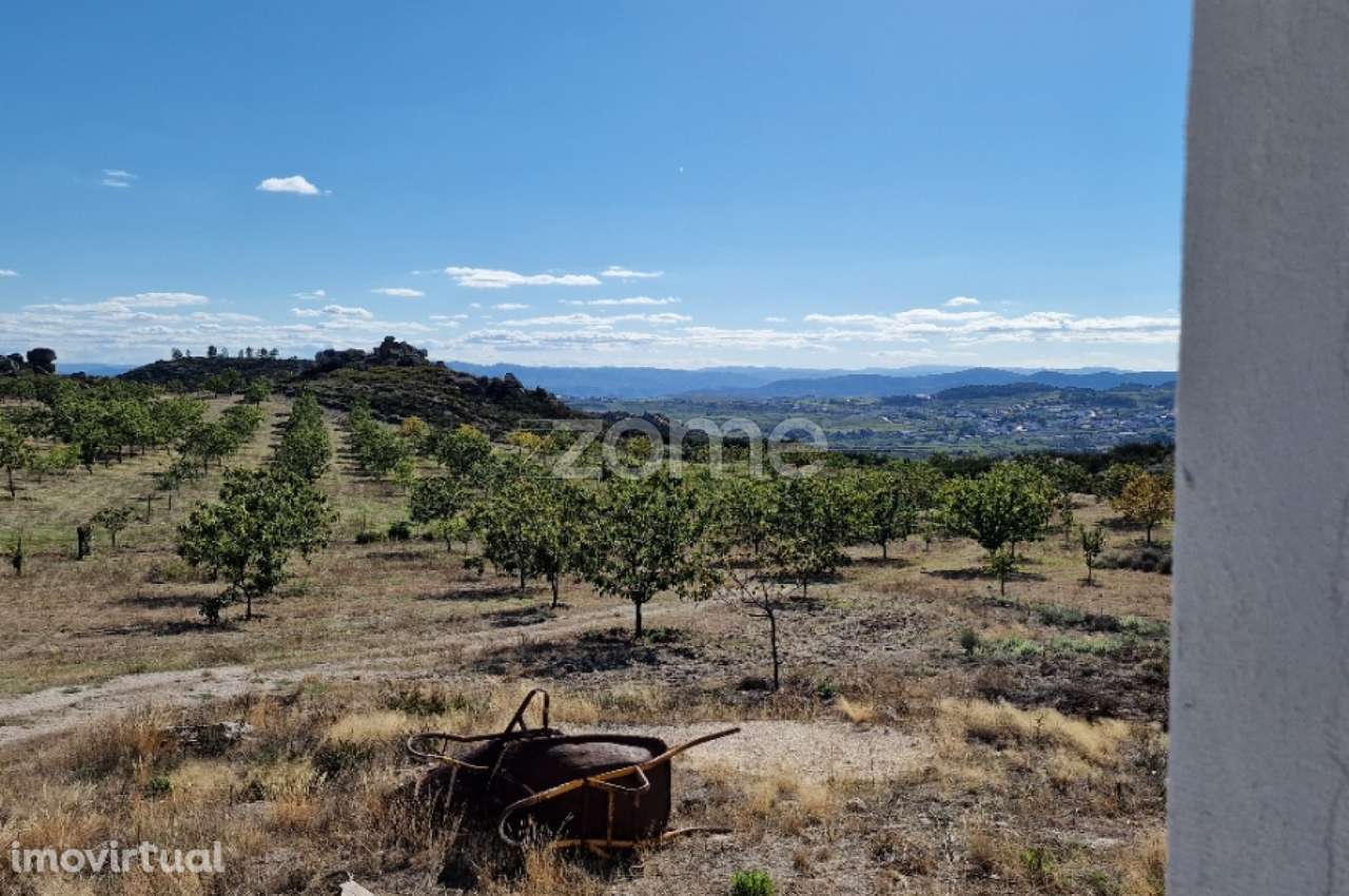 Terreno, 149 500 m², Alijo - Grande imagem: 3/28