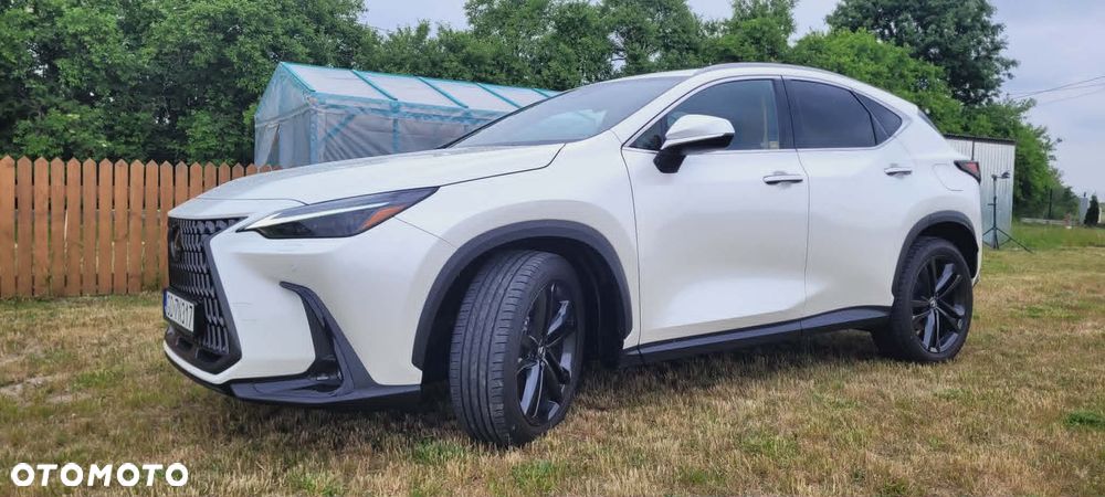 Lexus NX - 2