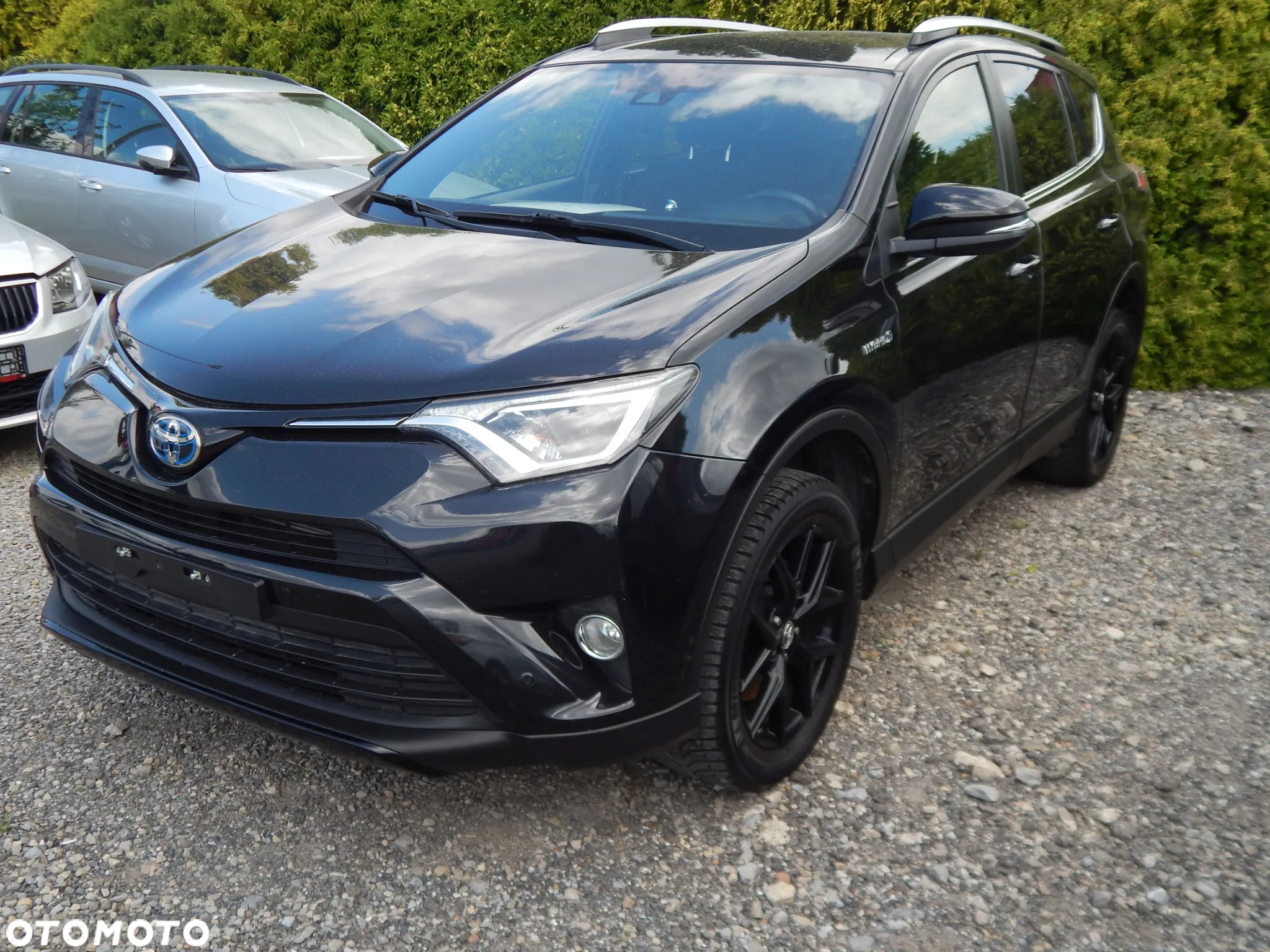 Toyota RAV4 Hybrid Platinum 4x4 - 2