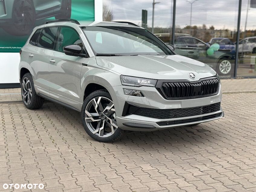 Skoda Karoq - 1