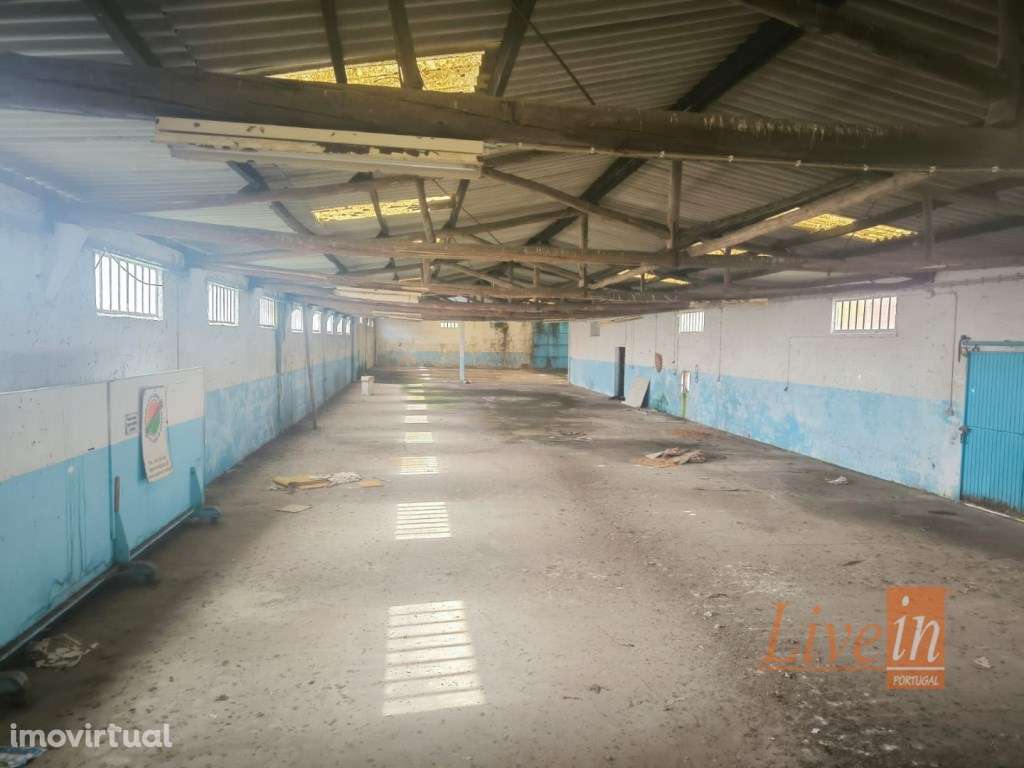 ARMAZÉM INDUSTRIAL com TERRENO em Pataias em Alcobaça - Grande imagem: 5/14