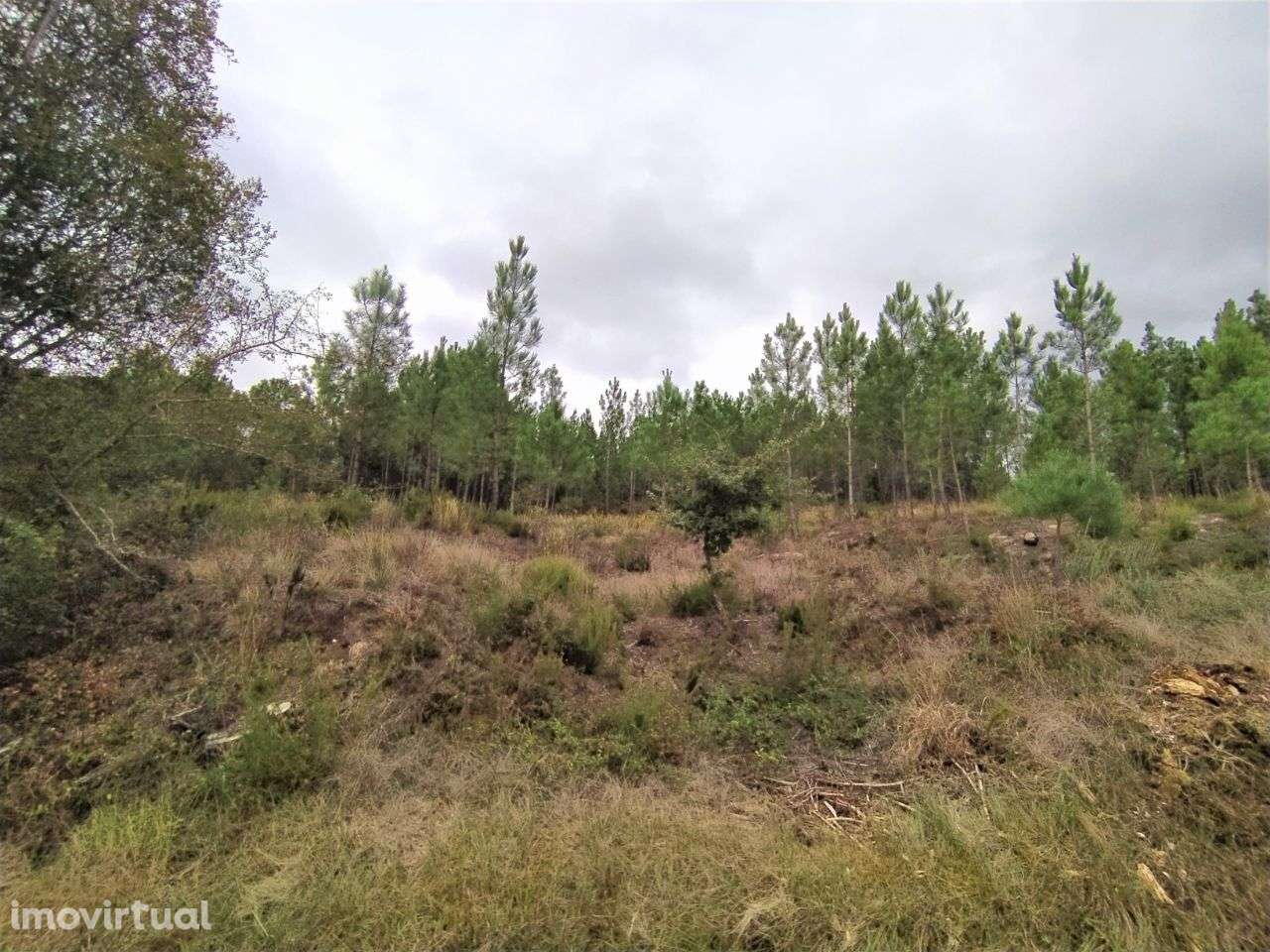 Terreno Para Construção na Lameirinha, Seiça! - Grande imagem: 2/4