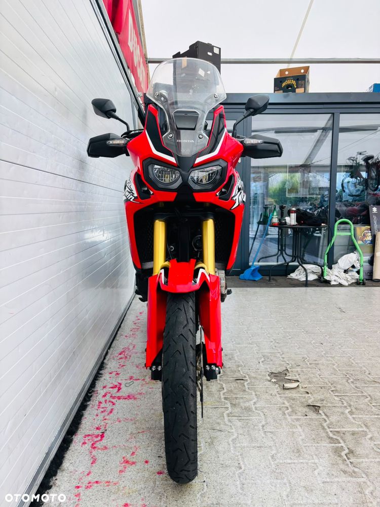 Honda CRF - 31
