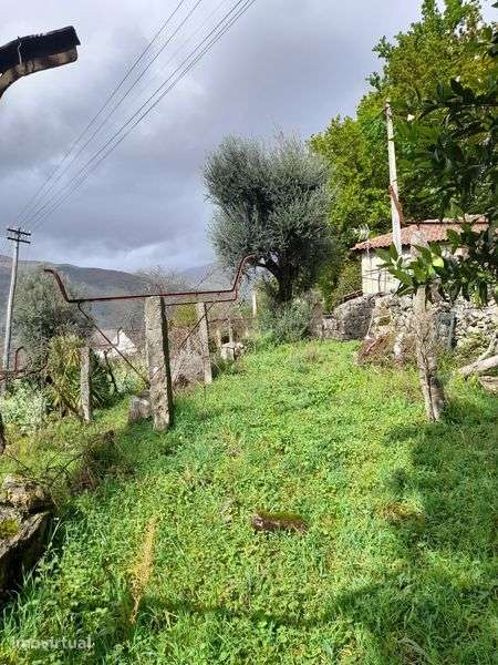 Vendono lindas vista 20000 euros - Grande imagem: 2/7