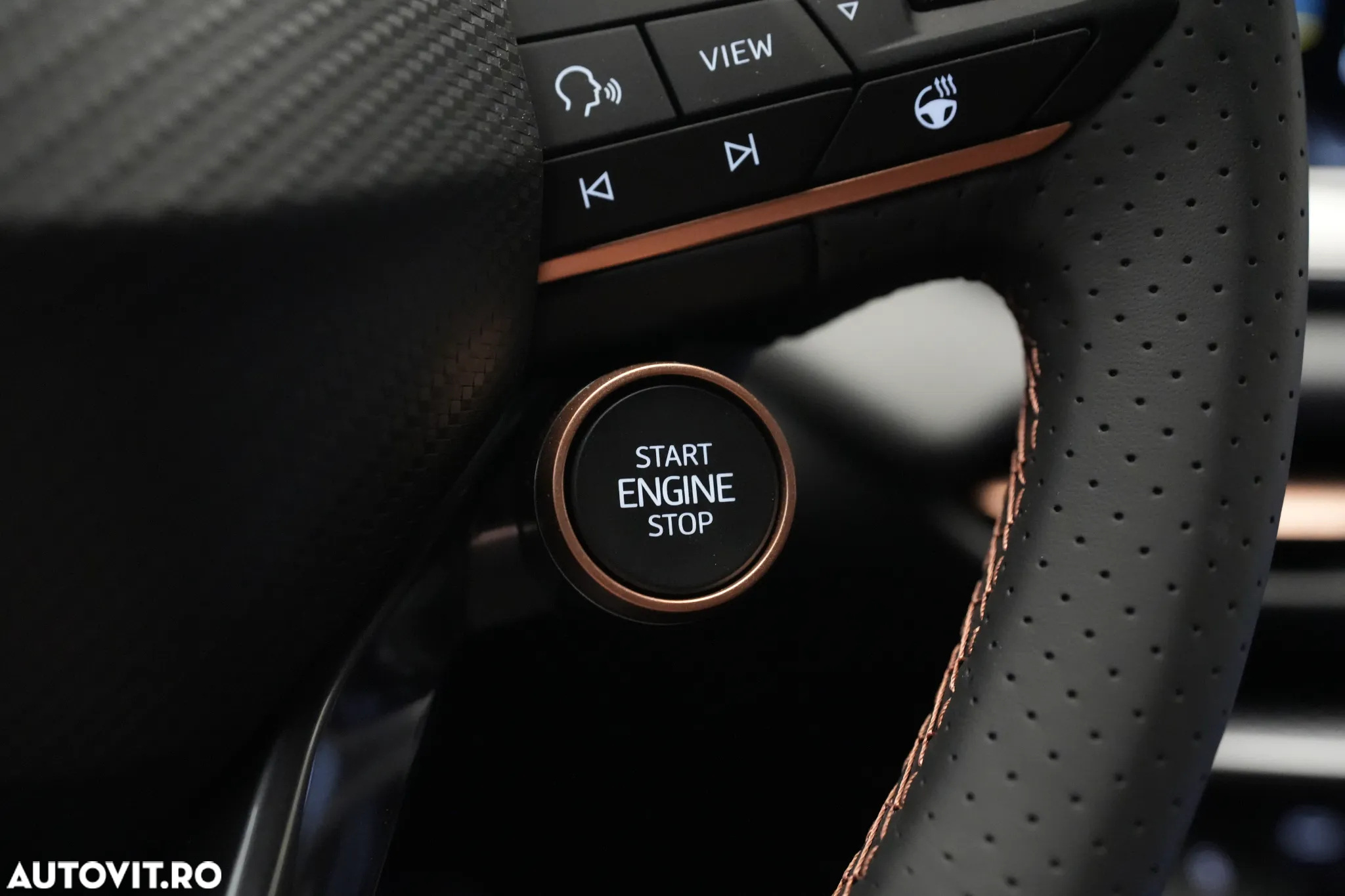 Cupra Terramar - 21