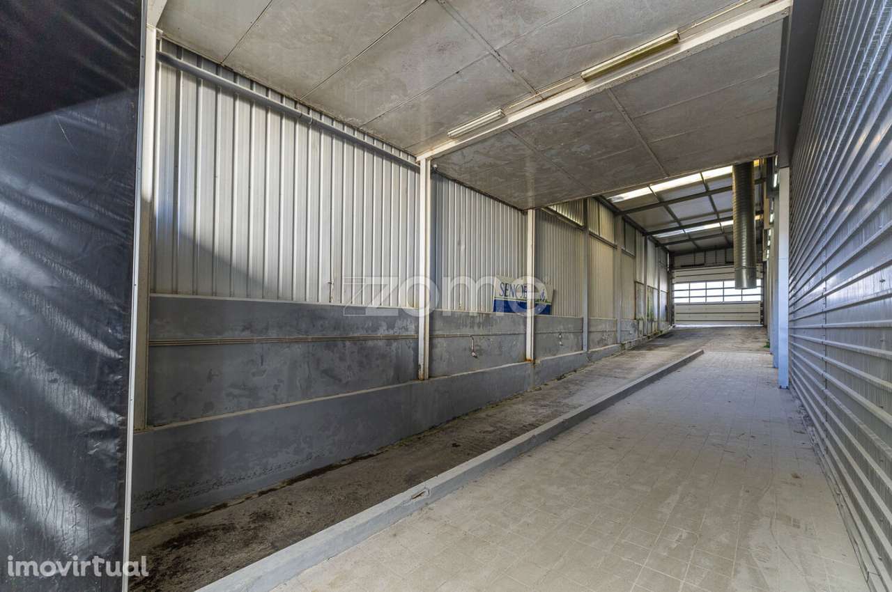 Armazém - Antas - Grande imagem: 3/45
