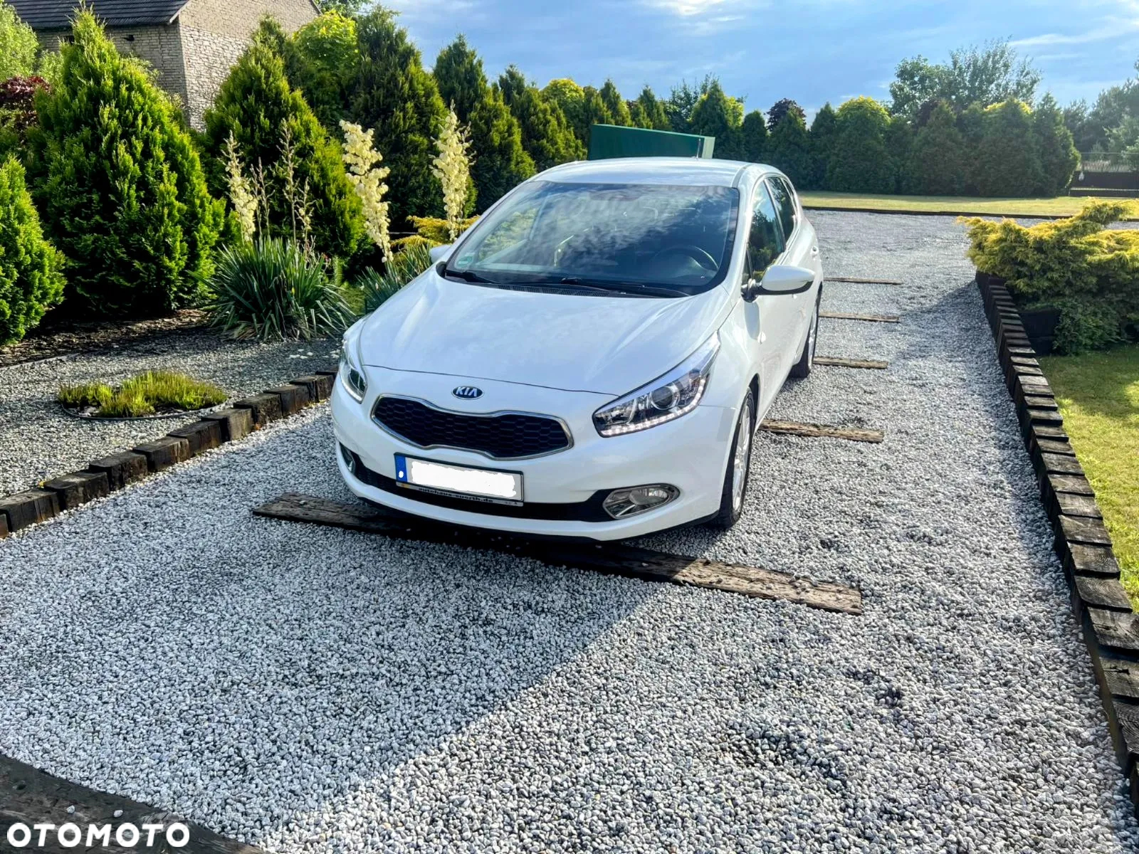 Kia Ceed - 3
