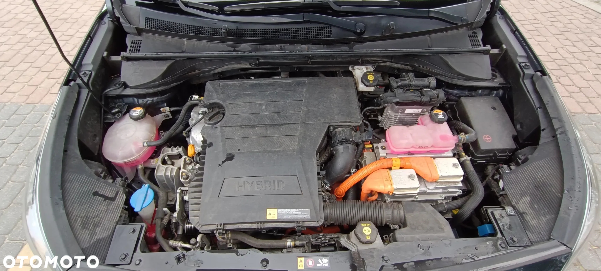 Kia Niro 1.6 GDI Hybrid L Business Line - 19