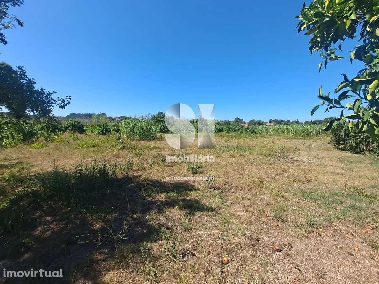 Terreno em Anadia - Grande imagem: 4/12