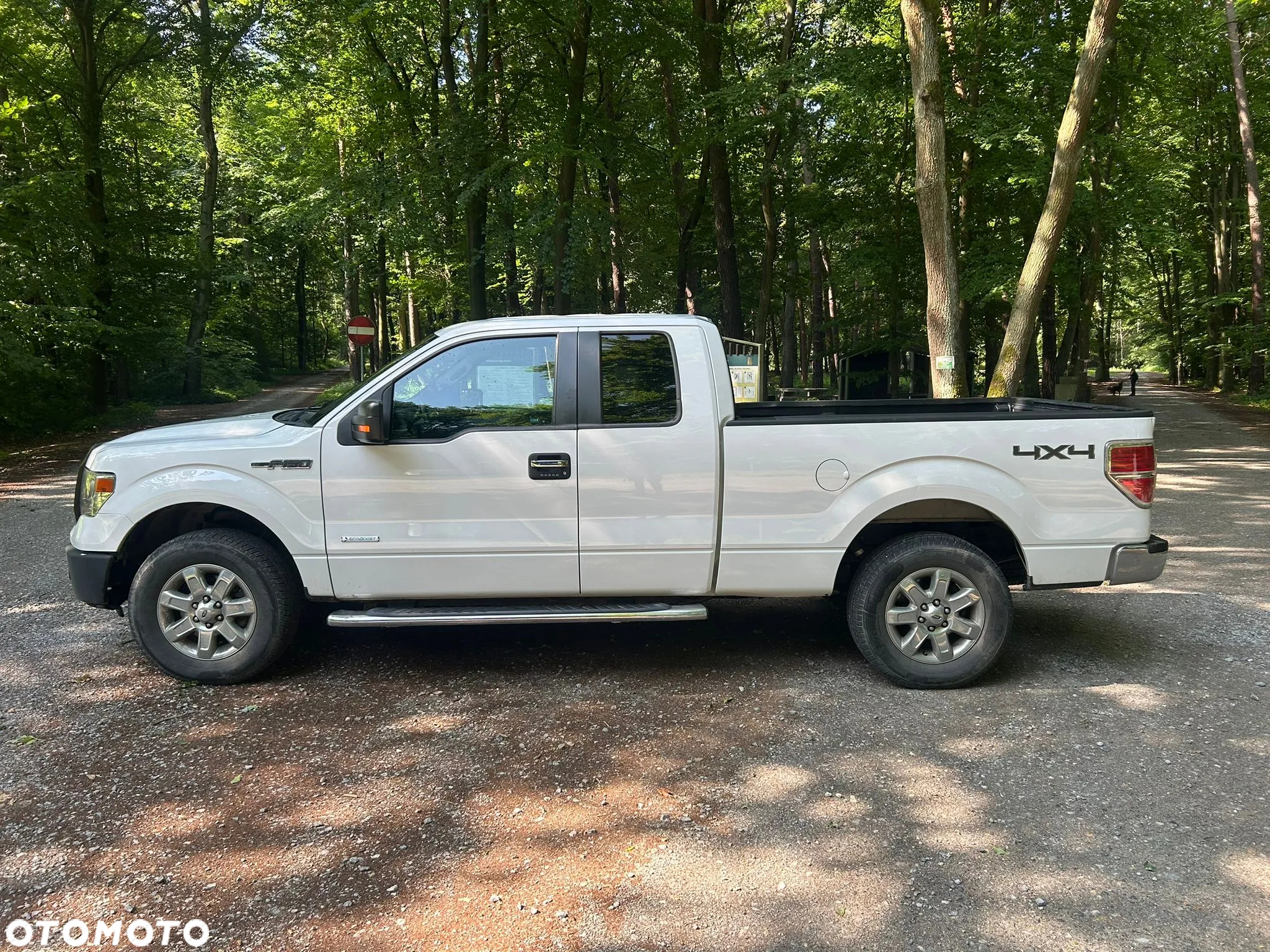 Ford F150 - 6