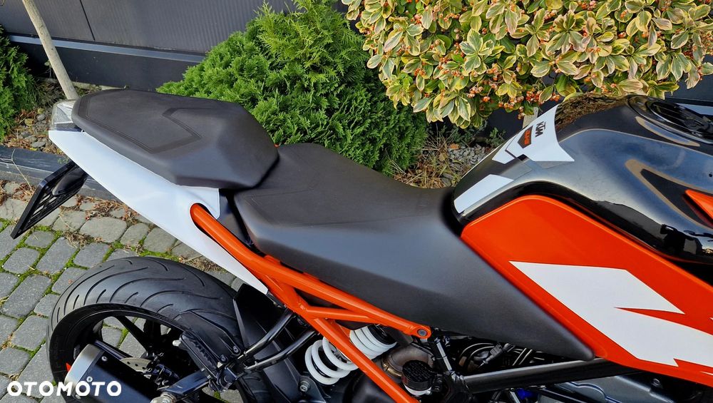 KTM Duke - 19