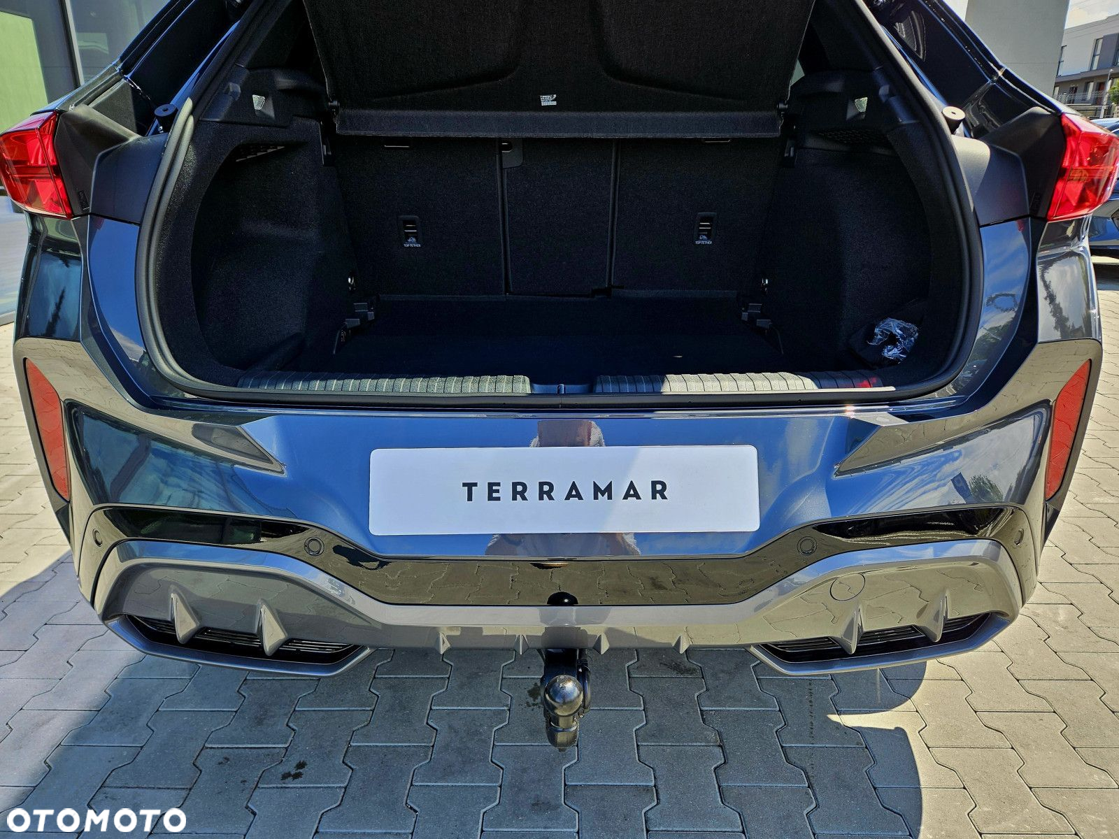 Cupra Terramar - 10