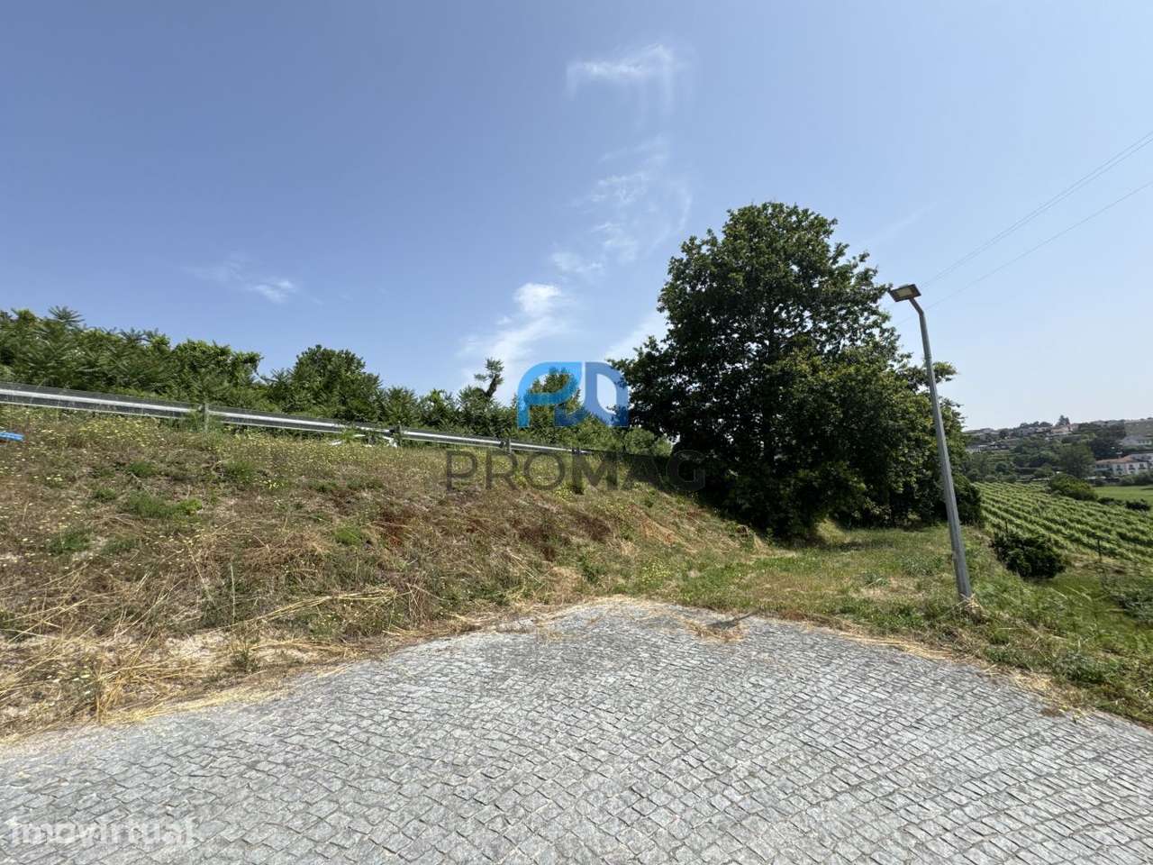 Terreno de Produção de Mirtilos - Grande imagem: 5/20