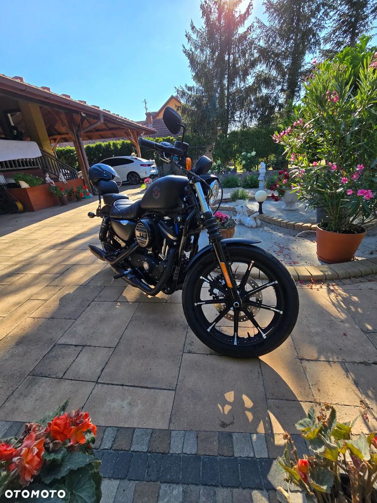 Harley-Davidson Sportster Iron 883 - 36