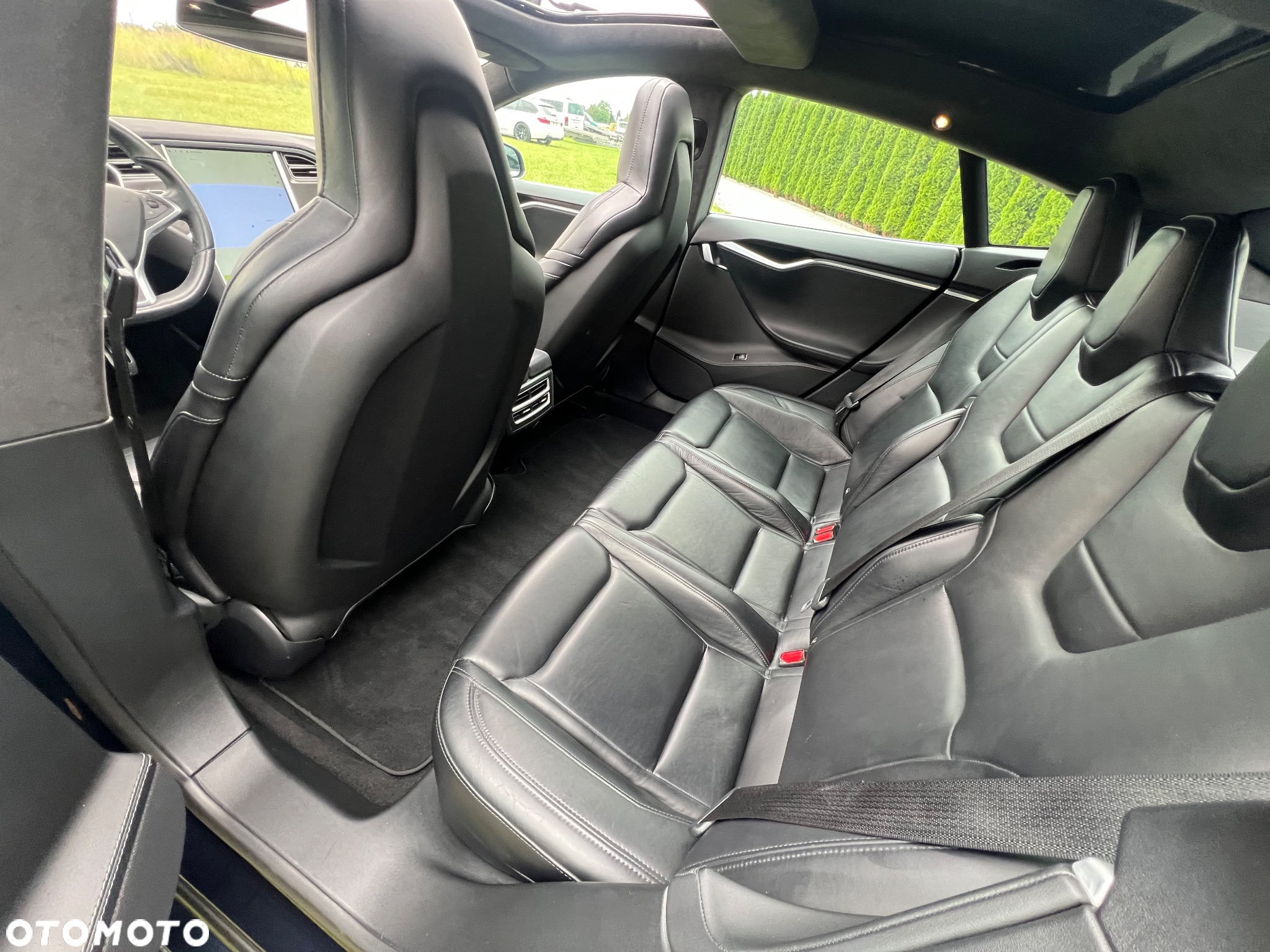 Tesla Model S Performance - 19