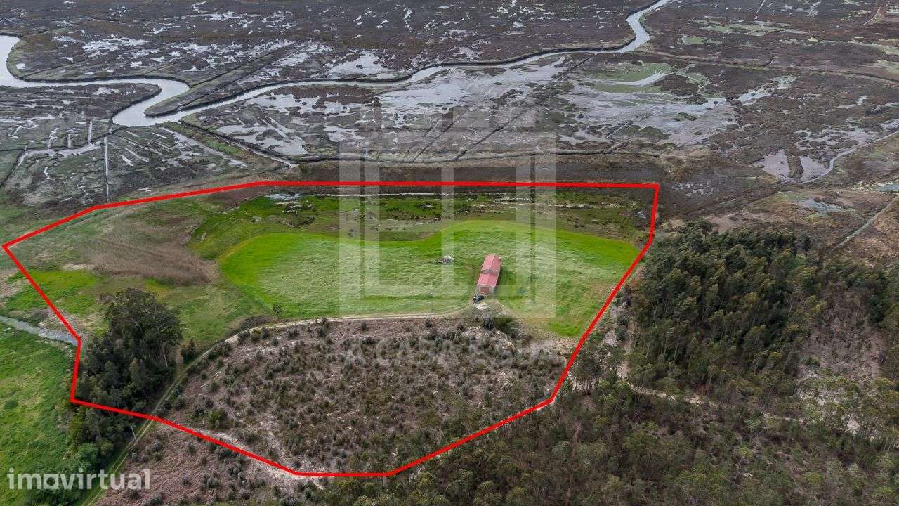 Terreno + Moradia T3 com vista para a Ria de Aveiro - Grande imagem: 2/15
