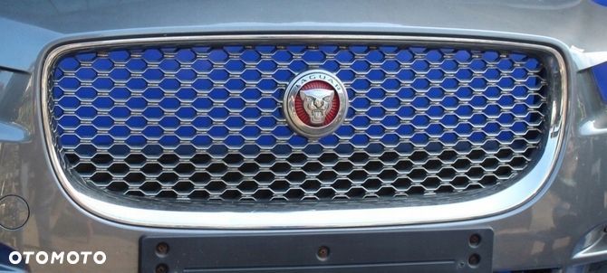 Atrapa chłodnicy grill znaczek emblemat stan BDB OE Jaguar XE X760 - 2