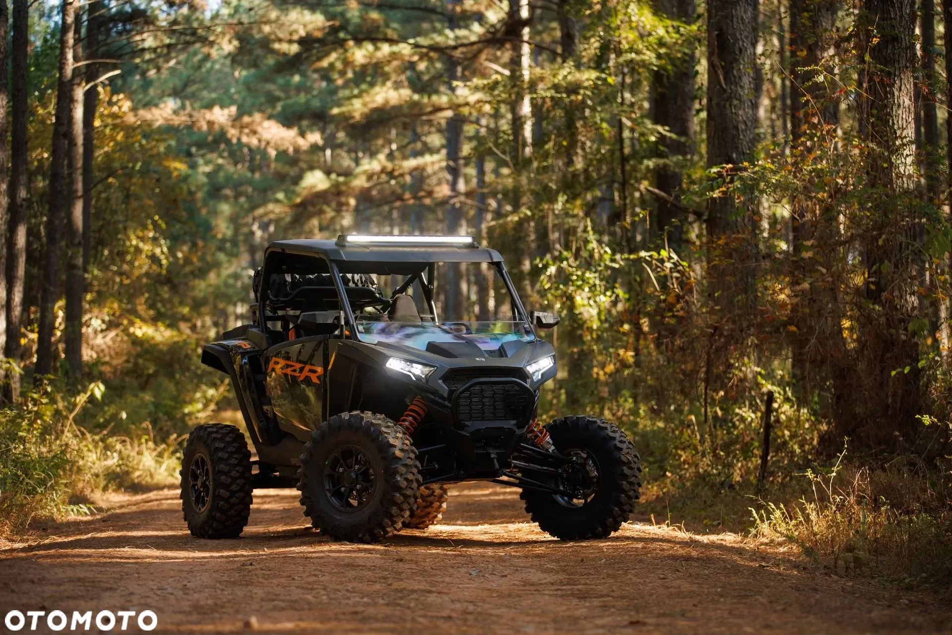 Polaris RZR - 10