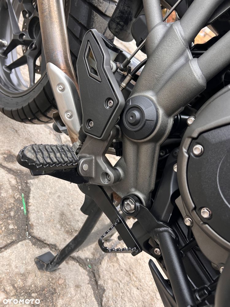 Triumph Tiger - 20
