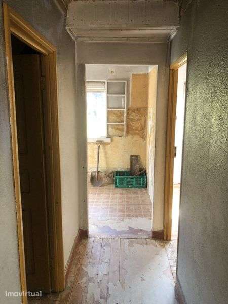 Casa isolada com um grande pomar jardim - Grande imagem: 4/12