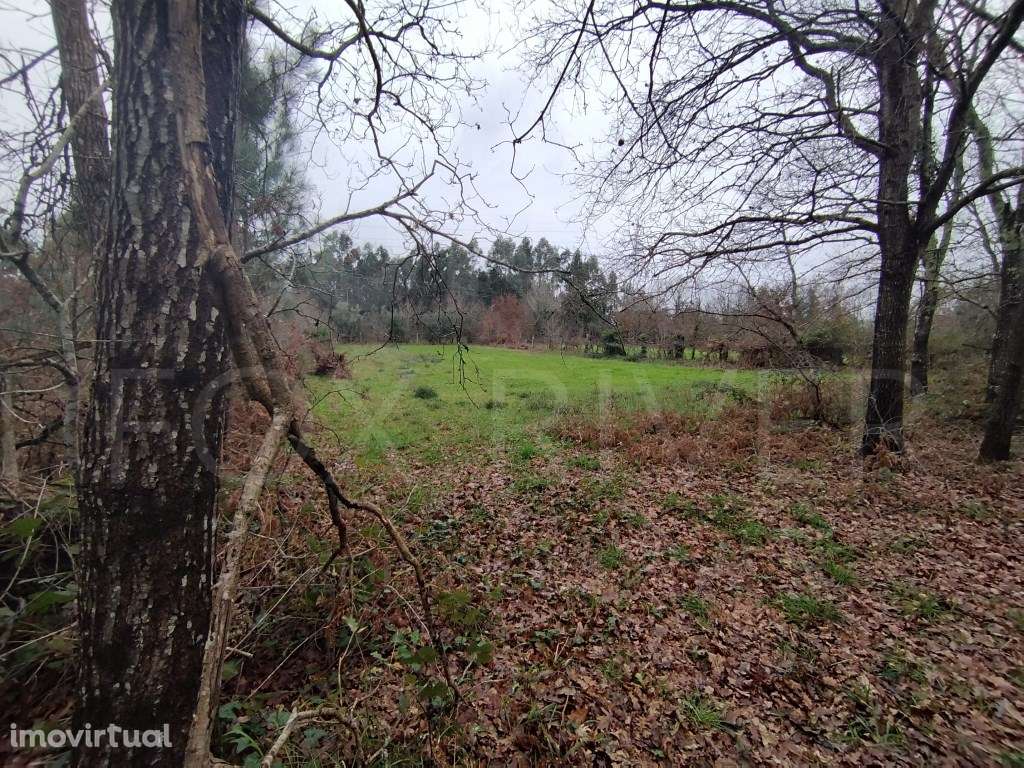 Terreno - Ganfei, Valença - Grande imagem: 2/10