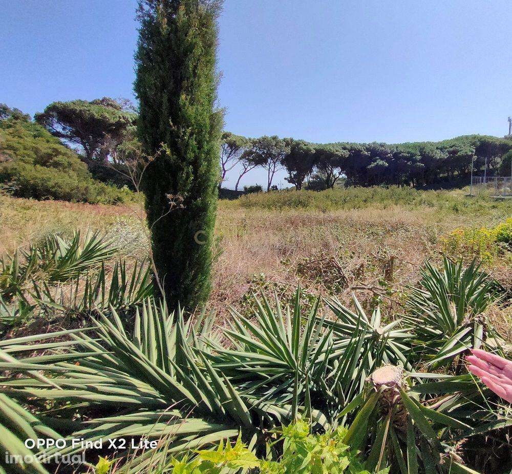 Terreno à venda em Janes - Cascais - Grande imagem: 5/17