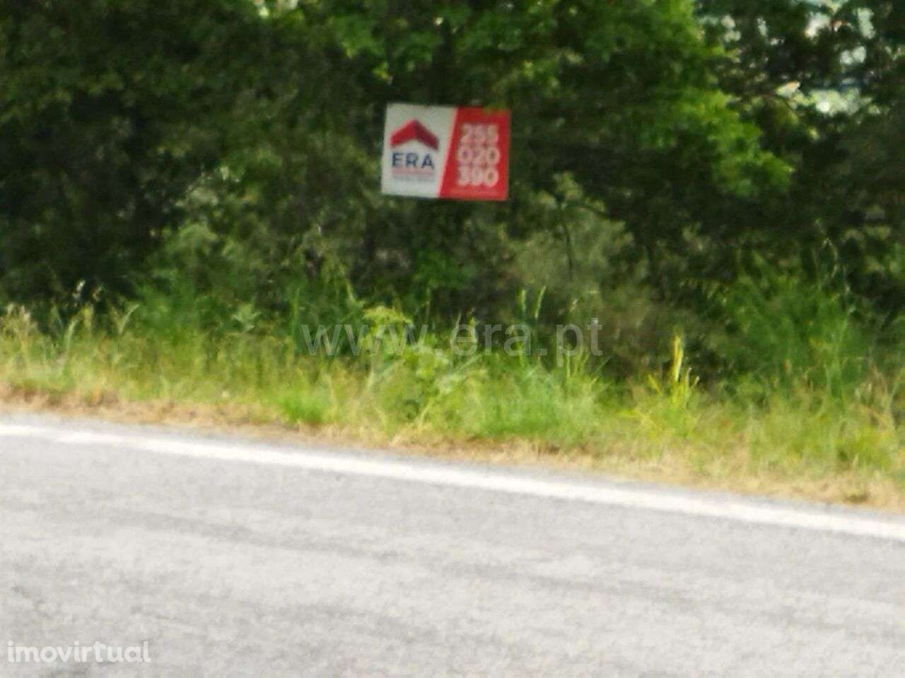 Terreno / Baião, Campelo e Ovil - Grande imagem: 3/7
