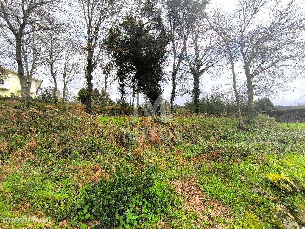 Terreno Urbano no centro de Tregosa - Grande imagem: 2/12