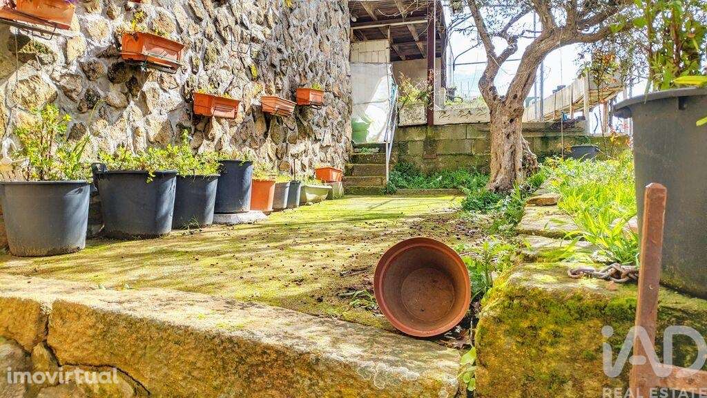 Casa / Villa T4 em Castelo Rodrigo de 50,00 m2 - Grande imagem: 3/30