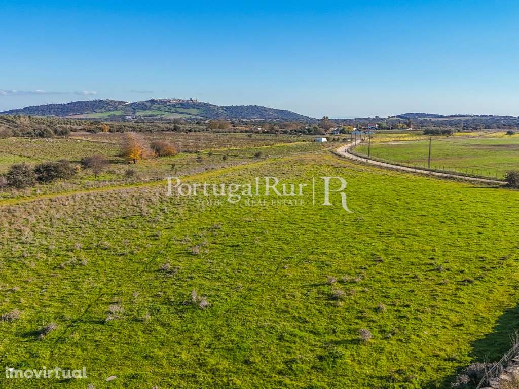 Terreno apto a Alojamento Local - Grande imagem: 5/8