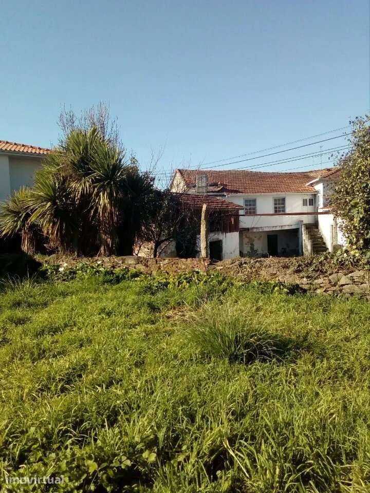 Moradia T5 antiga Santa Maria da Feira - Grande imagem: 3/3
