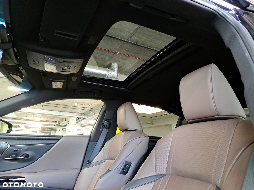 Lexus ES 300h Omotenashi - 13