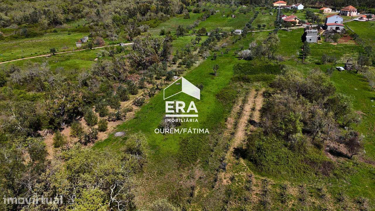 Terreno em Ferreira do Zezere - Grande imagem: 2/14