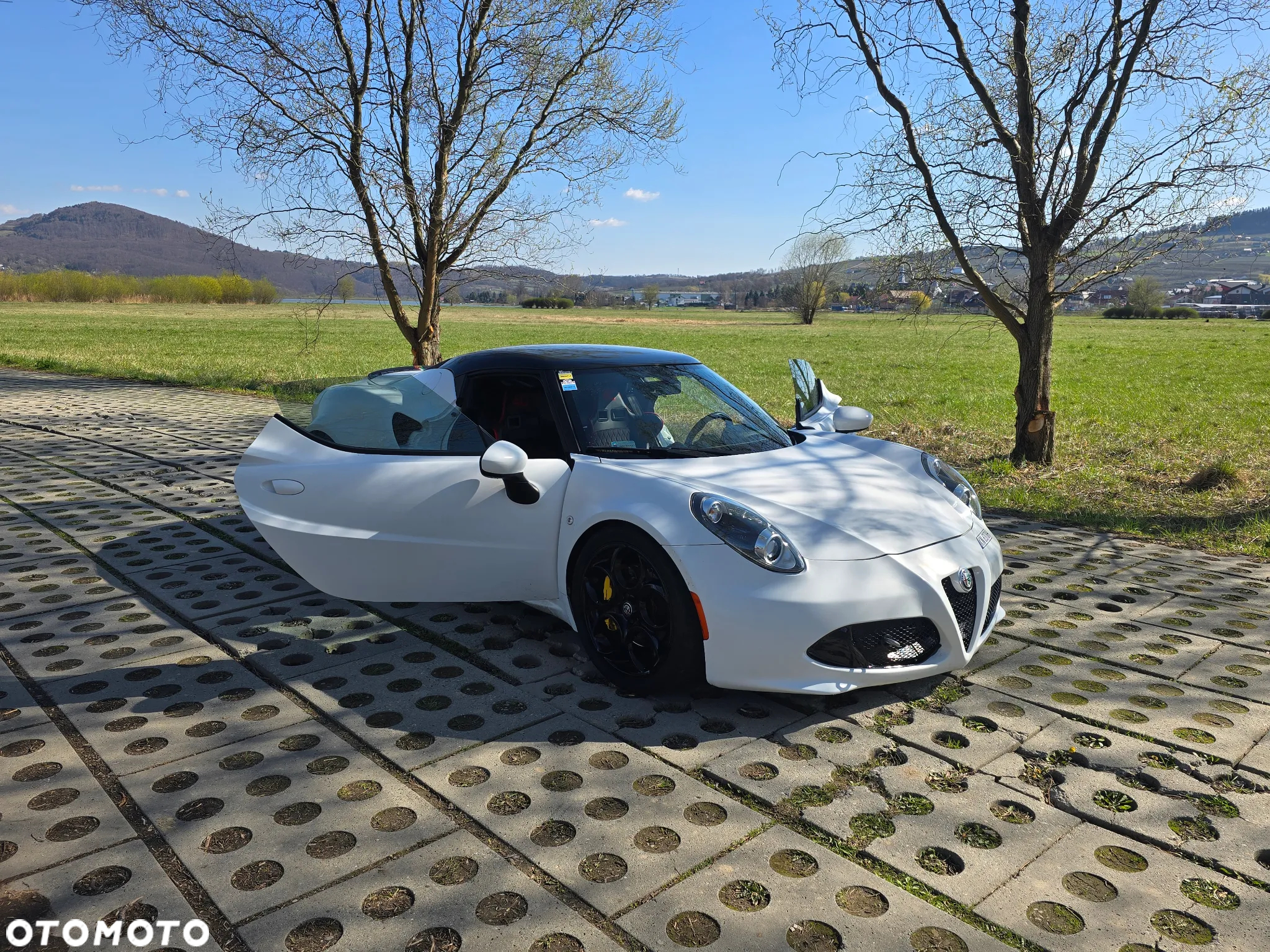 Alfa Romeo 4C 1750 TBi TCT - 6
