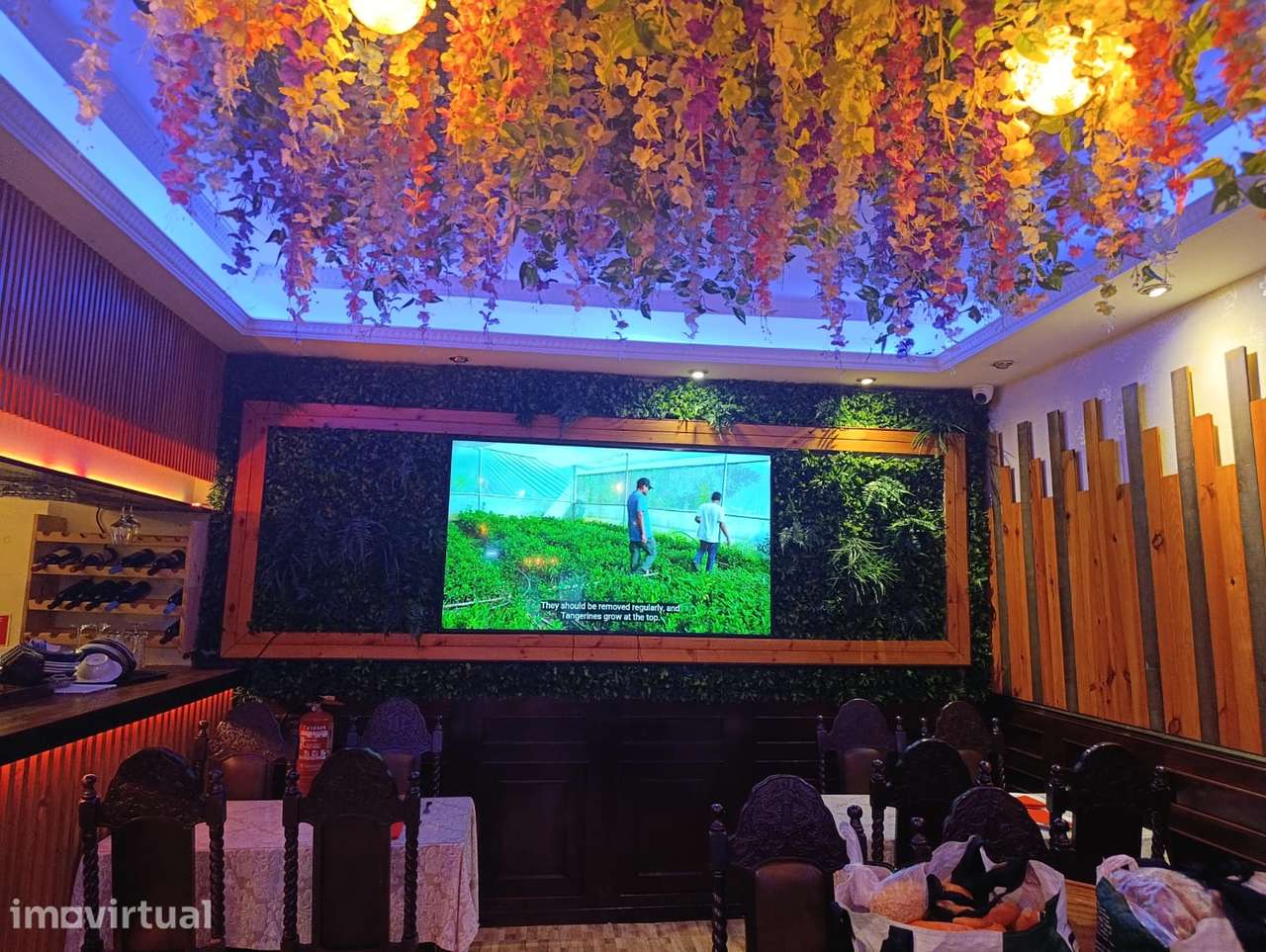 Tresspasse Restaurante - Grande imagem: 2/7