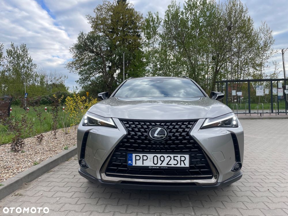 Lexus UX - 12