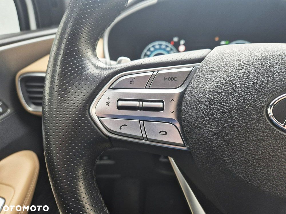 Hyundai Santa Fe 1.6 T-GDI HEV Platinum - 31