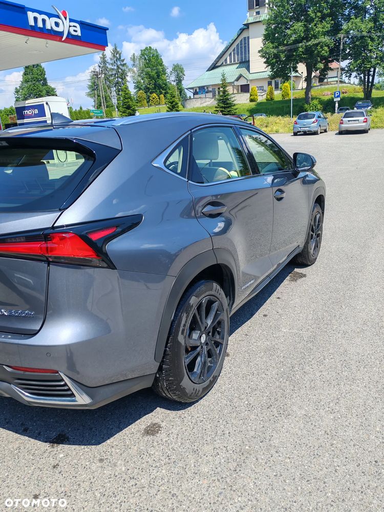 Lexus NX 300h Business Edition AWD - 6