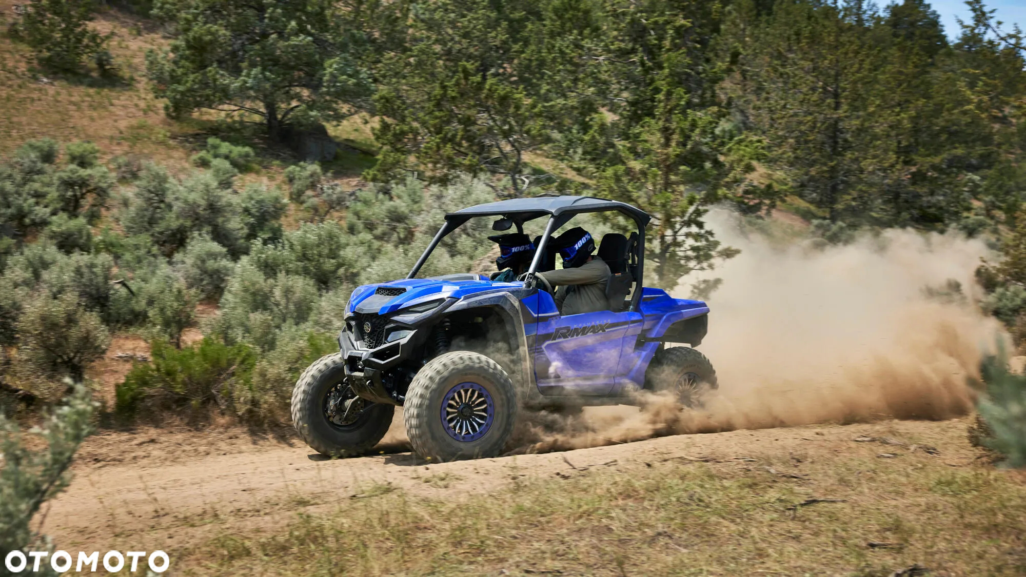 Yamaha Wolverine - 7