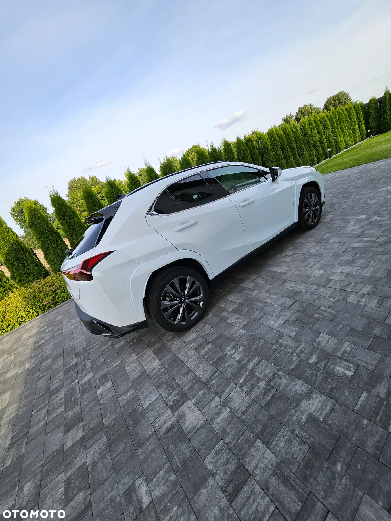 Lexus UX 250h GPF F Sport 2WD - 13